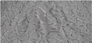 Illustrative embossed texture